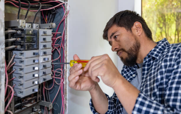 Best Ceiling Fan Installation Electrician  in Boyceville, WI